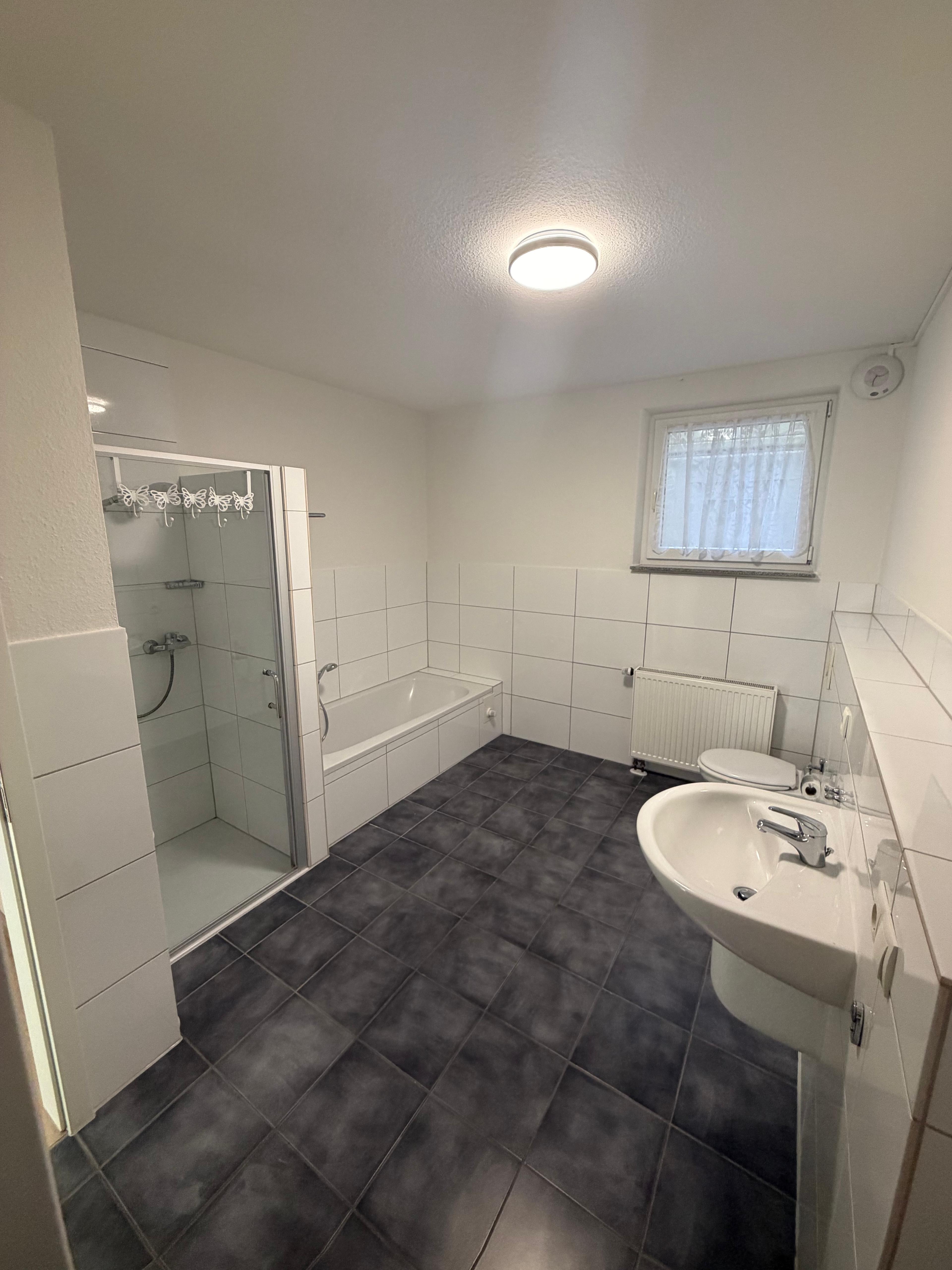 Charming & bright 1 Bedroom Apartment for rent in Queidersbach 3