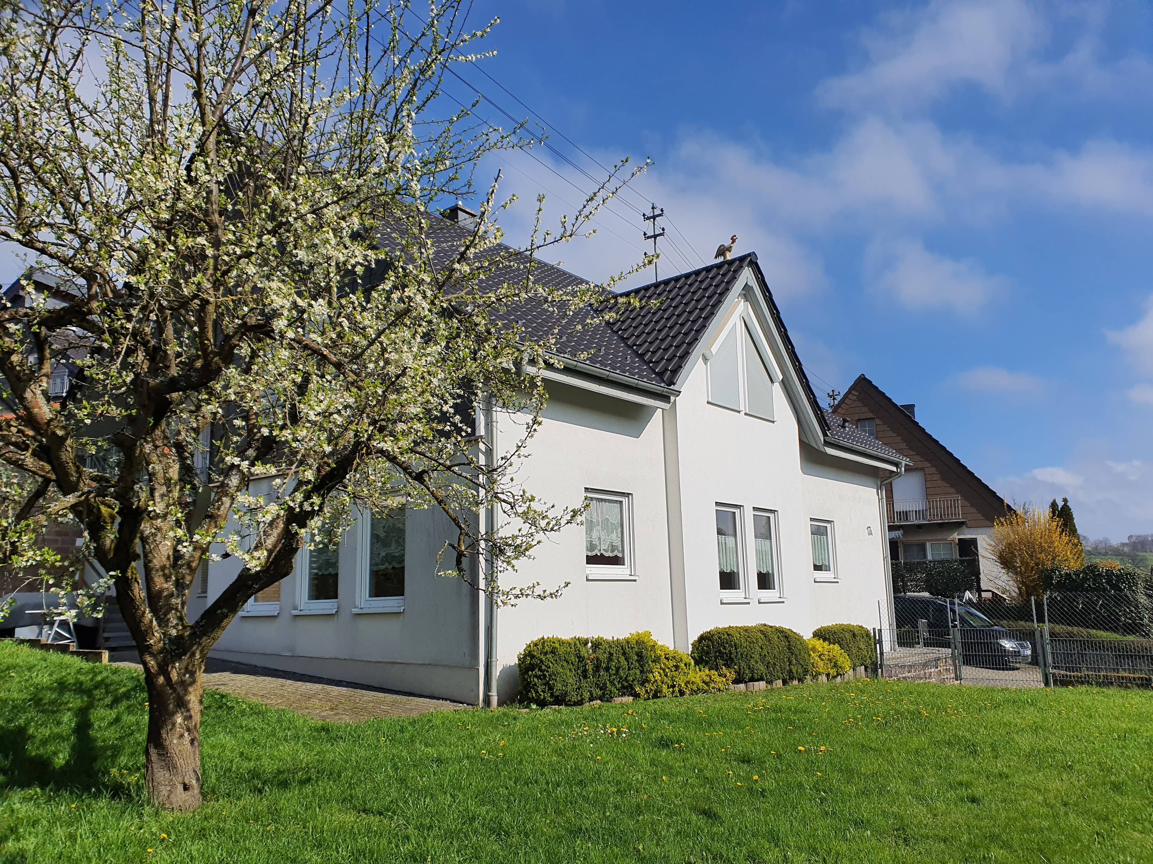 Family house for rent