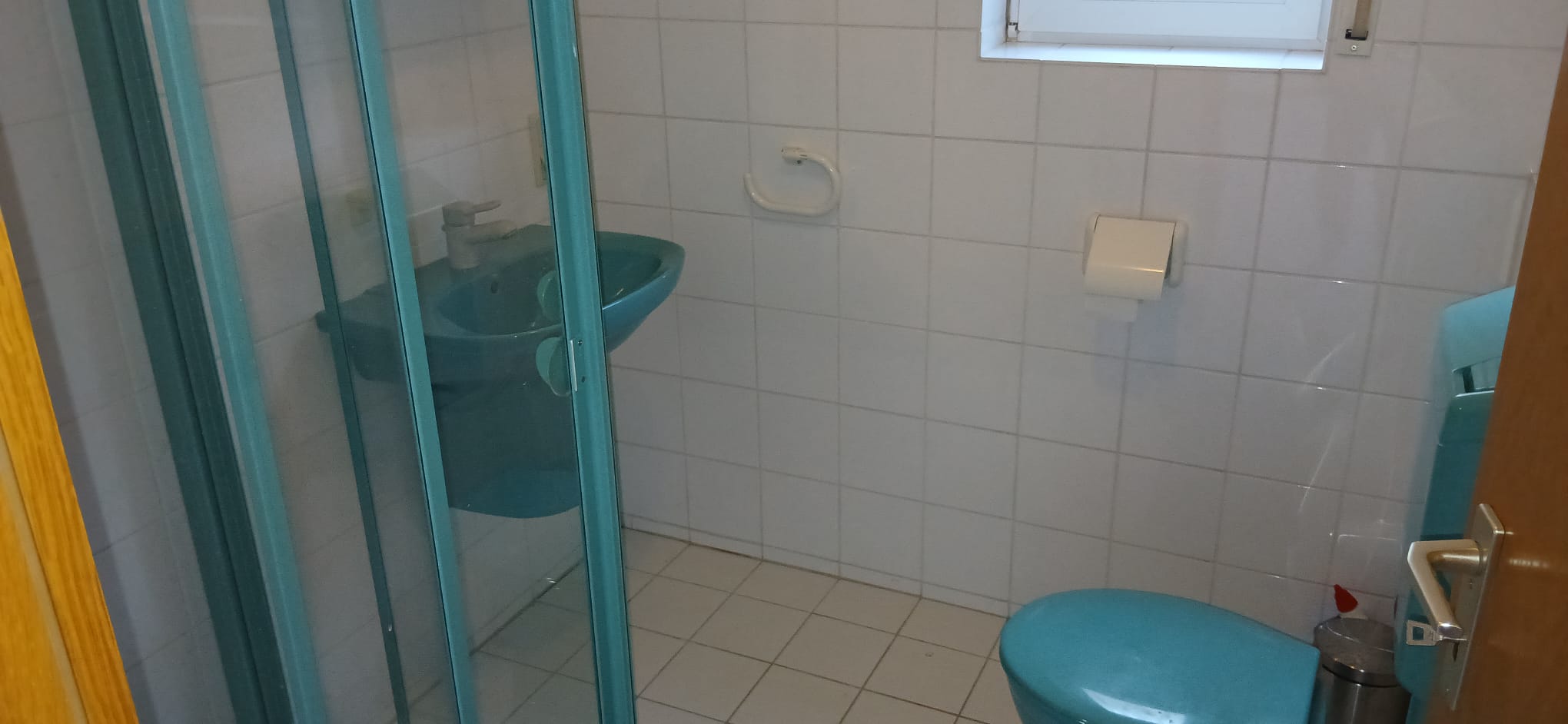 5 BR duplex house with Roman bathroom, terrace, yard 10
