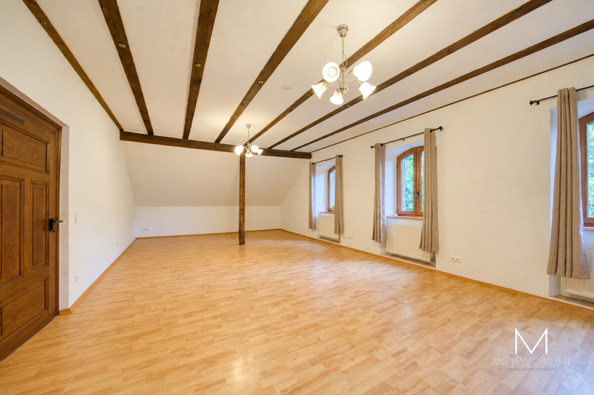 MG - Historic City Villa with Magnificent Grounds in Kusel for rent 4