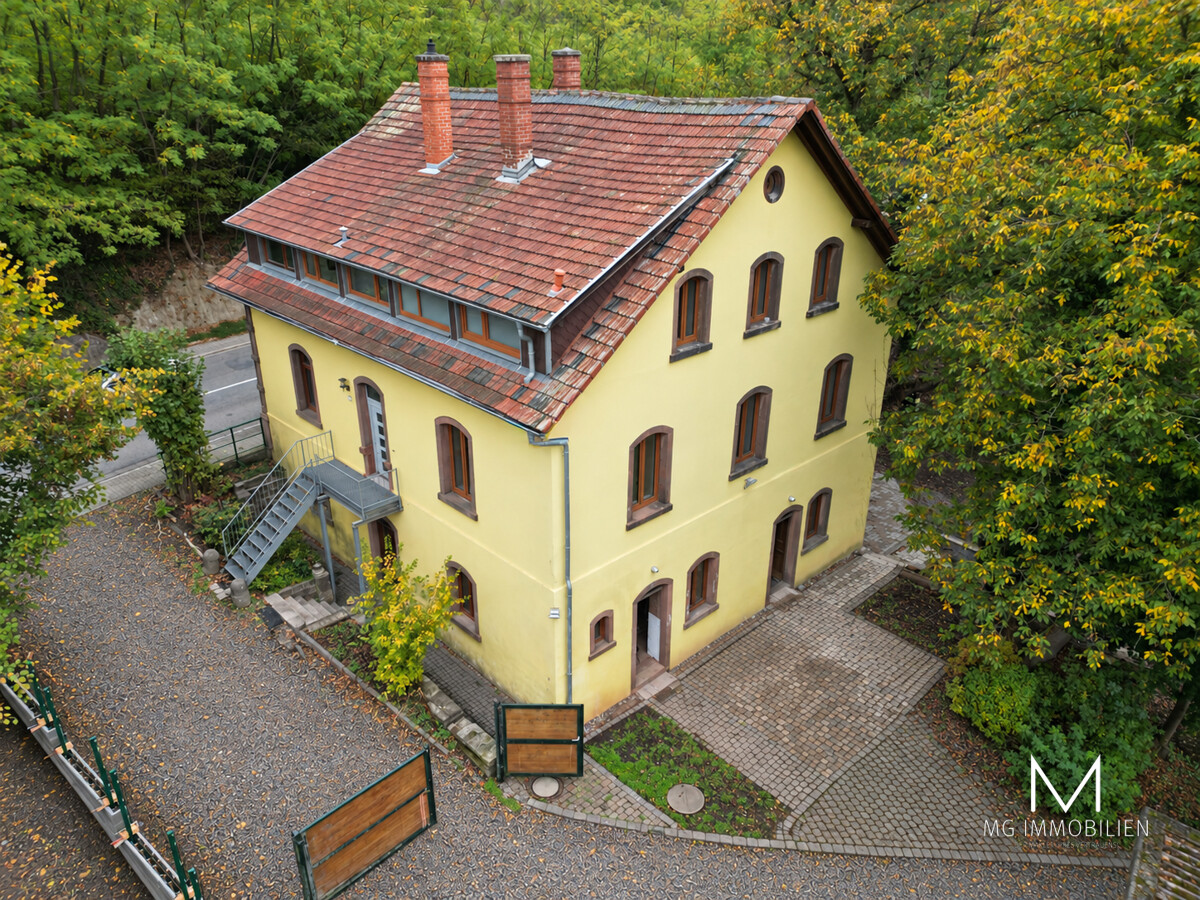 MG - Historic City Villa with Magnificent Grounds in Kusel for rent 16